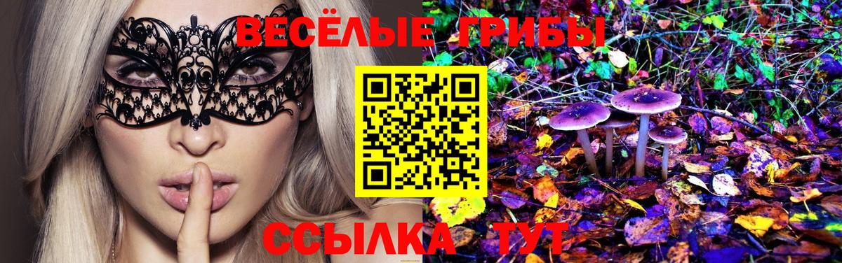 Галлюциногенные грибы MAGIC MUSHROOMS Котовск