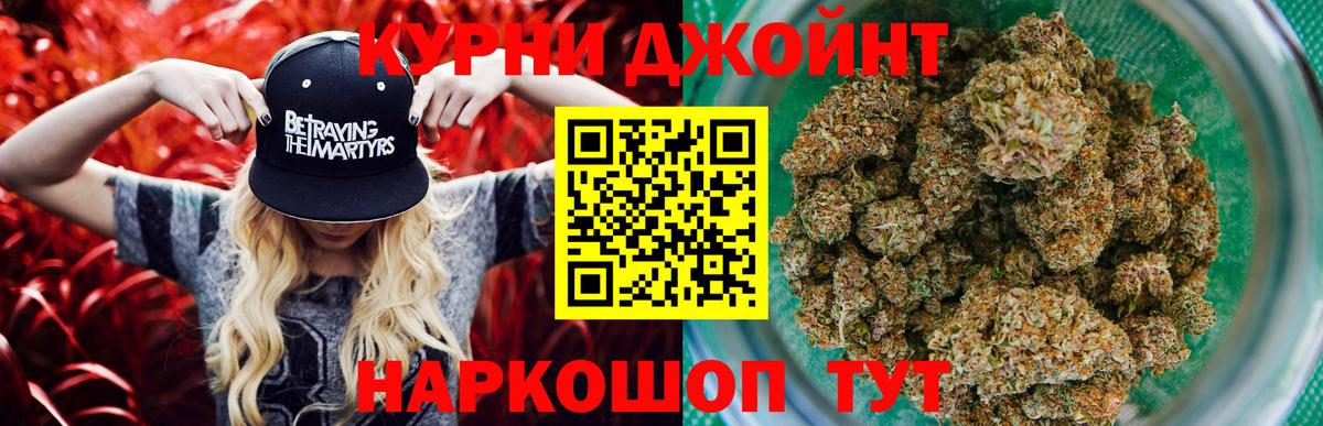 Шишки марихуана ГИДРОПОН  Вход с VPN  МАРИХУАНА THC 21%  Марихуана Amnesia  Котовск 